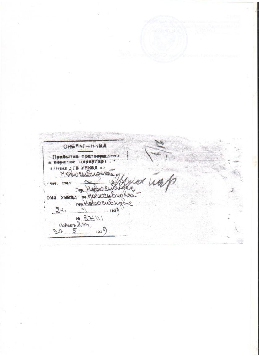 Изображение 009 (1)