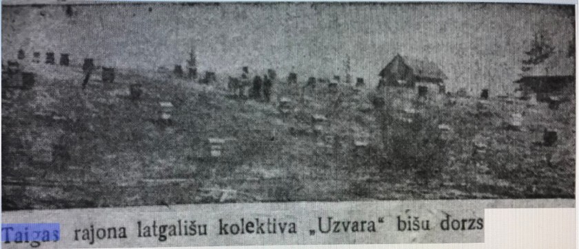 Пасека колхоза УЗВАРА. 1933 год.