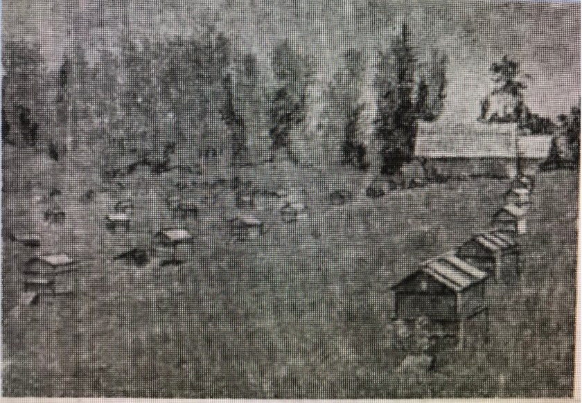 Пасека колхоза УЗВАРА. Октябрь 1936 года.