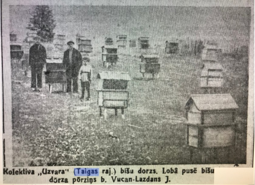 Пасека колхоза УЗВАРА, справа ВУЦЕН-ЛАЗДАН Иван. Август 1935 год.